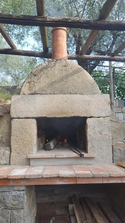 La Corte Del Falco Pieve a Nievole ภายนอก รูปภาพ
