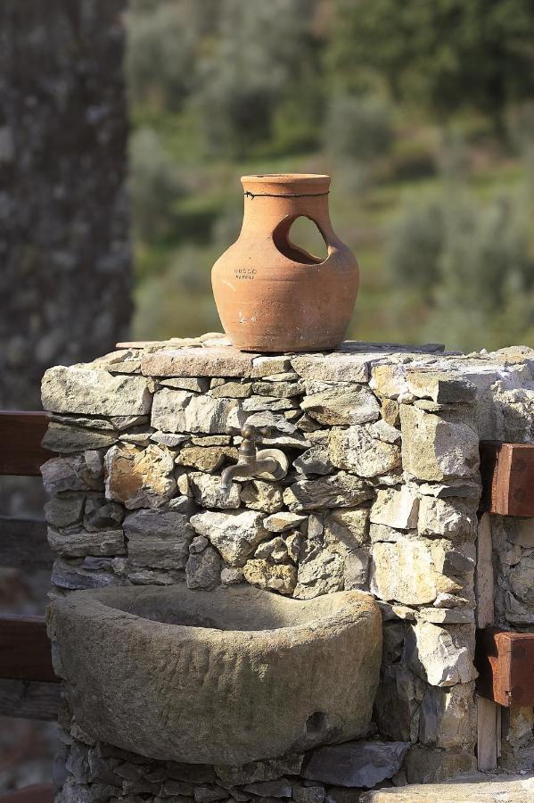 La Corte Del Falco Pieve a Nievole ภายนอก รูปภาพ