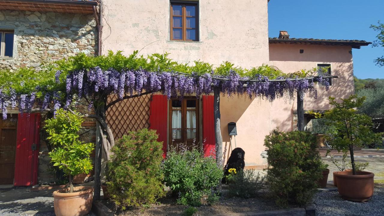 La Corte Del Falco Pieve a Nievole ภายนอก รูปภาพ